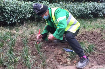 武漢天街項目—綠化養(yǎng)護(hù)項目